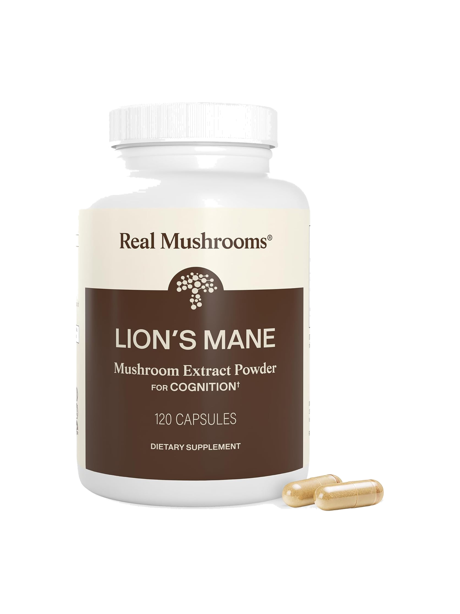 Lion's Mane Mushroom Cognition